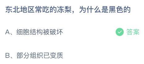 东北冻梨是什么梨，东北人吃的冻梨到底是个啥（细胞结构被破坏还是部分组织已变质）