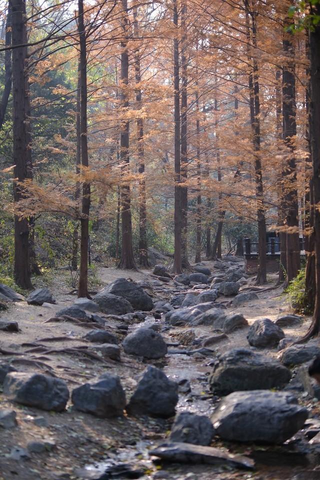 2寸照片是多少像素，2寸照片是多少像素照片如何压缩（四千万像素、6.2K视频）