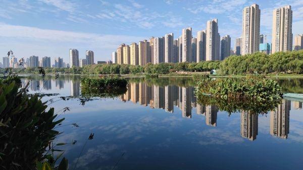 沉水植物的作用简介，沉水植物的作用简介图片（墨水湖边种这些植物）