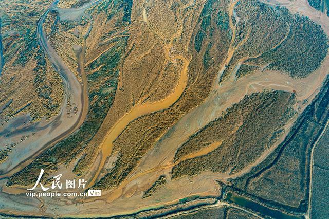 黄河在哪里个省份哪个市，黄河流经哪几个省份（黄河河道河汊纵横交错美如画）