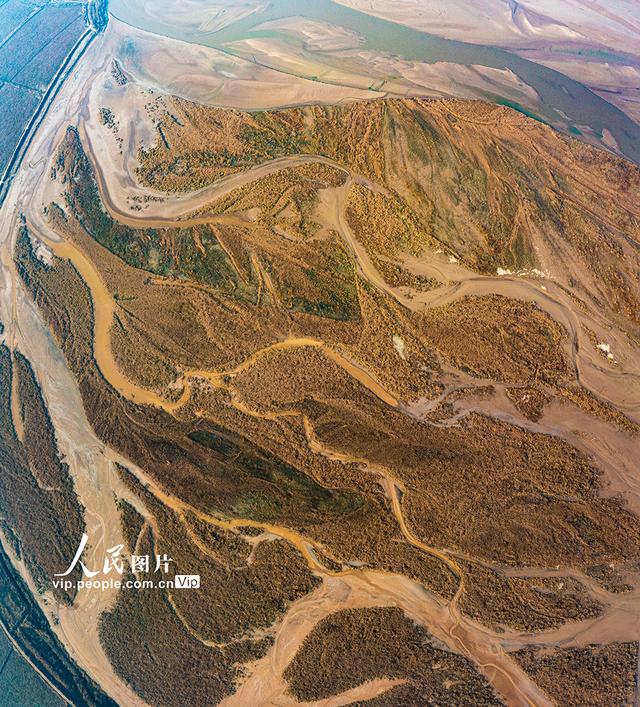 黄河在哪里个省份哪个市，黄河流经哪几个省份（黄河河道河汊纵横交错美如画）