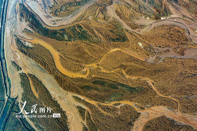 黄河在哪里个省份哪个市，黄河流经哪几个省份（黄河河道河汊纵横交错美如画）