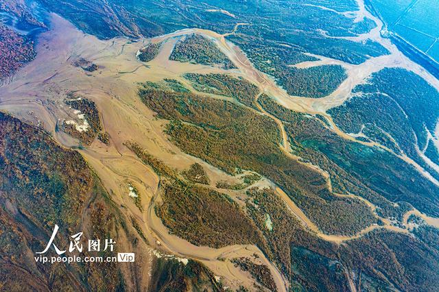 黄河在哪里个省份哪个市，黄河流经哪几个省份（黄河河道河汊纵横交错美如画）