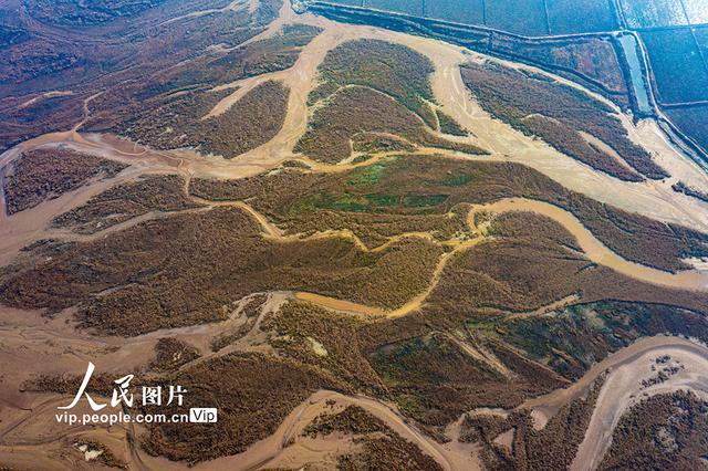 黄河在哪里个省份哪个市，黄河流经哪几个省份（黄河河道河汊纵横交错美如画）