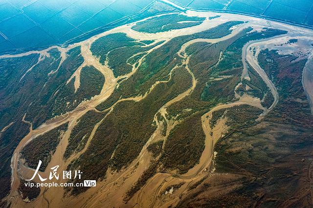 黄河在哪里个省份哪个市，黄河流经哪几个省份（黄河河道河汊纵横交错美如画）