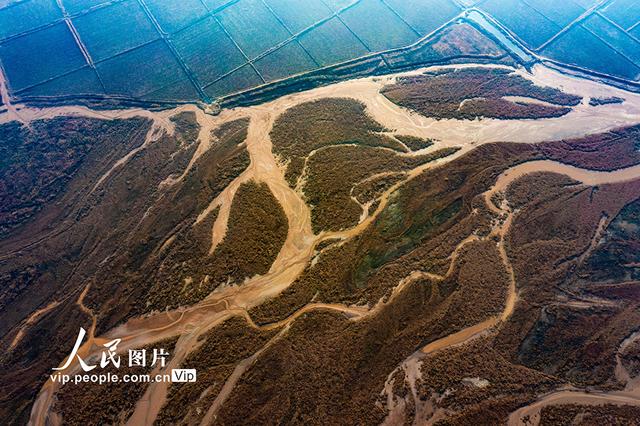 黄河在哪里个省份哪个市，黄河流经哪几个省份（黄河河道河汊纵横交错美如画）