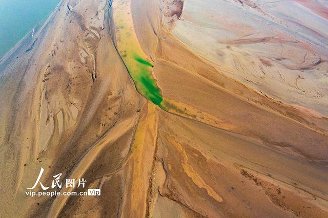 黄河在哪里个省份哪个市，黄河流经哪几个省份（黄河河道河汊纵横交错美如画）