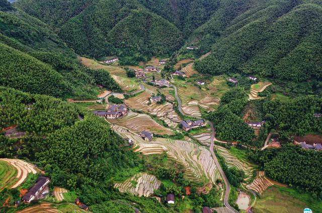 梦见晒稻谷有什么预兆，梦见晒稻谷什么意思（我在现场·我们都是追梦人丨十年“圆梦”）