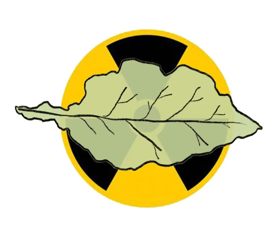 宝山疾控话健康 | 带你了解香烟不为人知的一面!