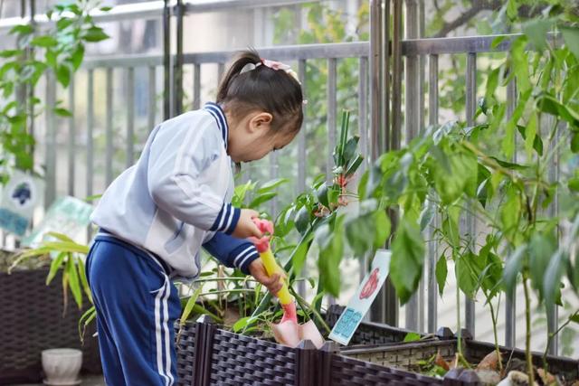 成都市最牛逼的幼儿园，一所让阅读照亮生命成长的阅见乐园