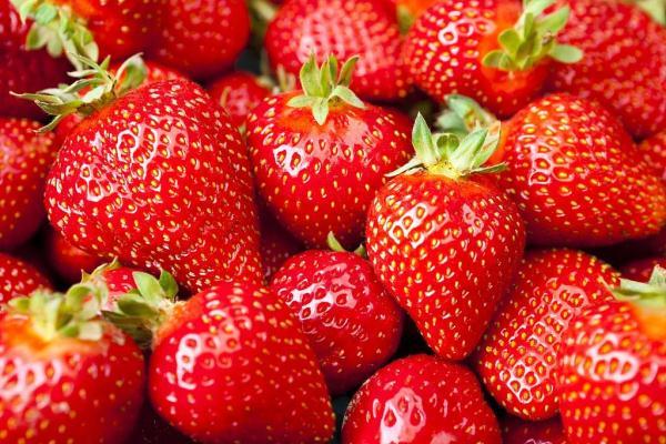 种的草莓如何快速消除，草莓怎么消（担心草莓太脏了）