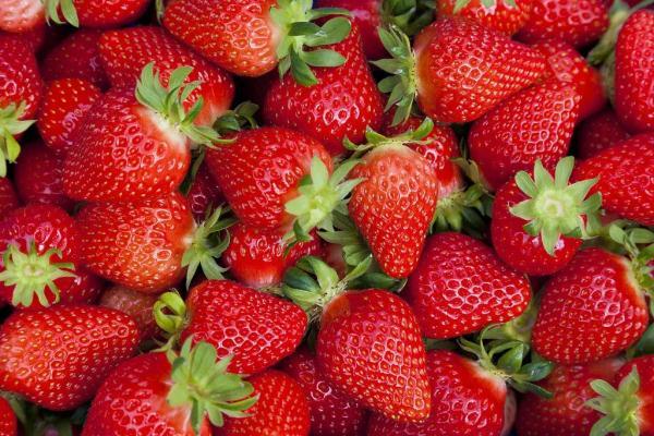 种的草莓如何快速消除，草莓怎么消（担心草莓太脏了）