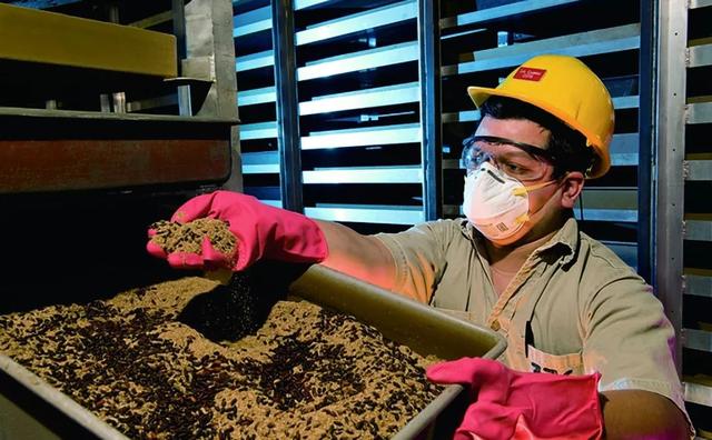 苍蝇的养殖方法，人类这样做到底是何居心