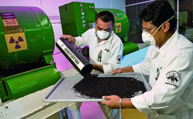 苍蝇的养殖方法，人类这样做到底是何居心