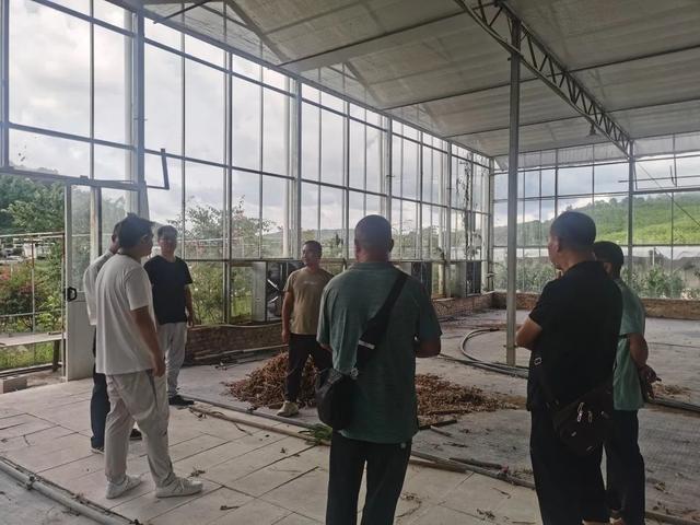 亩产4万斤辣椒品种，亩产4万斤辣椒品种子种子多少钱（水果甜椒、小米辣椒带到了……）