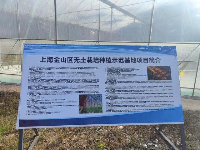 亩产4万斤辣椒品种，亩产4万斤辣椒品种子种子多少钱（水果甜椒、小米辣椒带到了……）