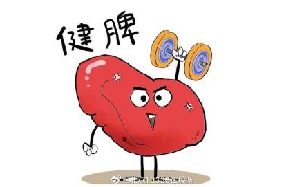 体质差的人应该如何调理，体质差的人怎样调理（日常该如何健脾呢）