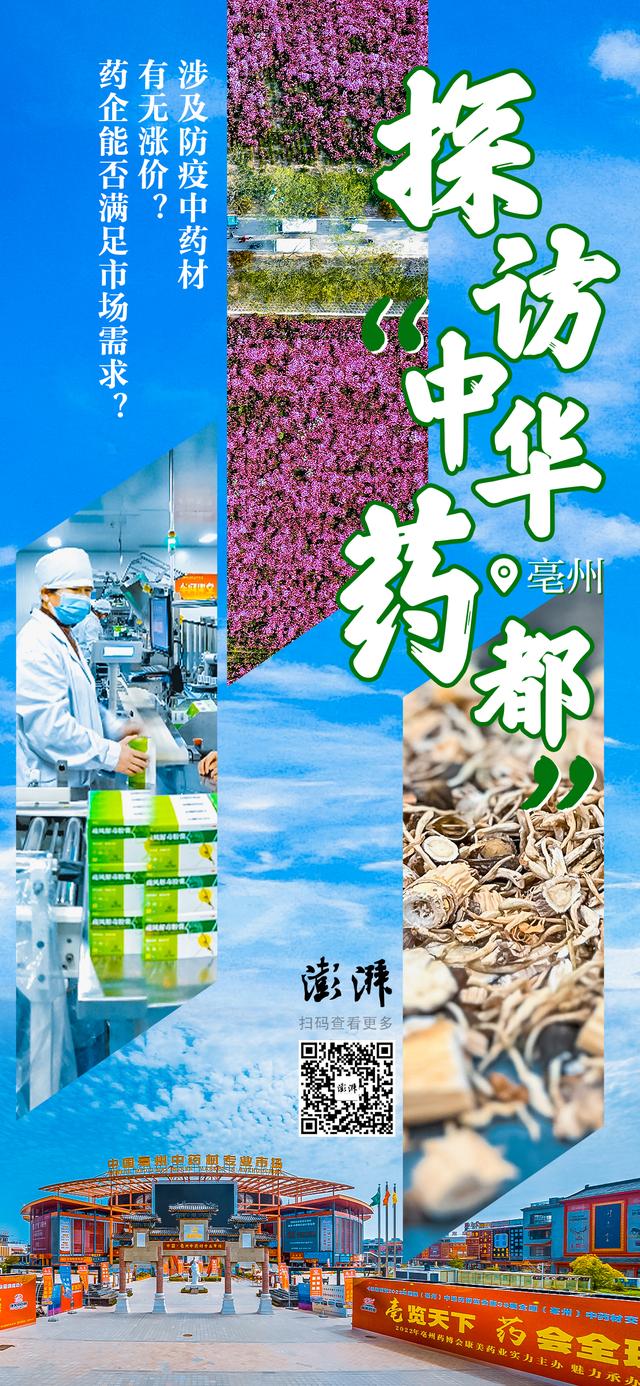 毫州市属于哪个省哪个市，毫州市属于哪个省（极力守卫抗疫药材价格平稳）