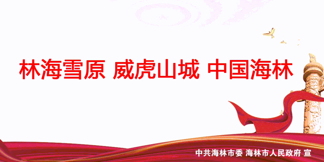 清凉夏日 相约海林 | 亿龙水上风情园 消暑纳凉好去处