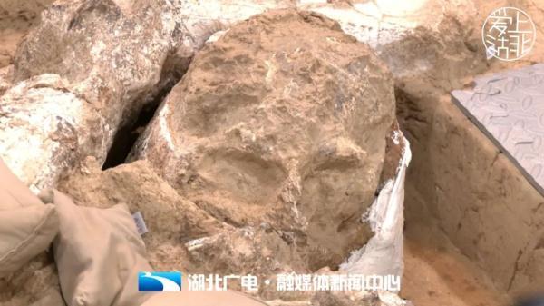 厘米和公分是一样的吗，公分和厘米一样吗（直击“郧县人”3号头骨化石提取现场）