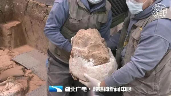 厘米和公分是一样的吗，公分和厘米一样吗（直击“郧县人”3号头骨化石提取现场）