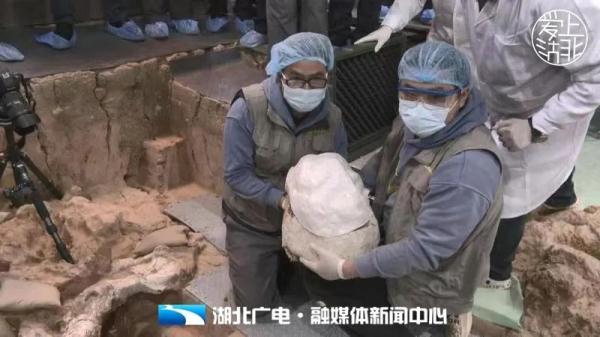 厘米和公分是一样的吗，公分和厘米一样吗（直击“郧县人”3号头骨化石提取现场）