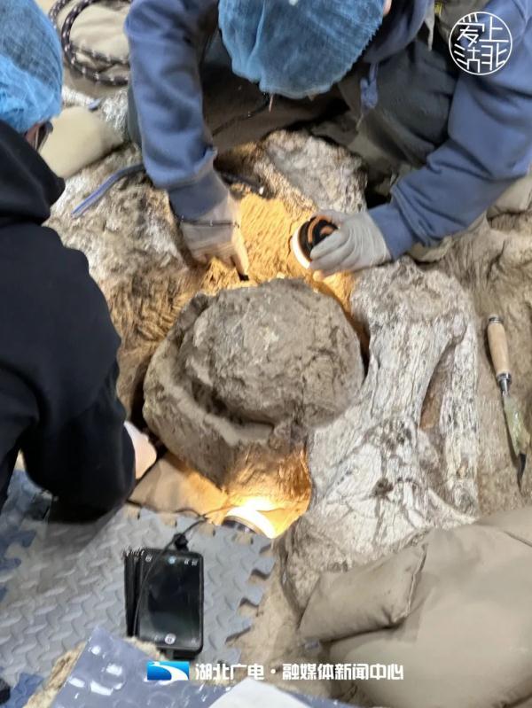 厘米和公分是一样的吗，公分和厘米一样吗（直击“郧县人”3号头骨化石提取现场）