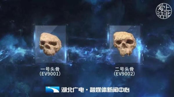 厘米和公分是一样的吗，公分和厘米一样吗（直击“郧县人”3号头骨化石提取现场）