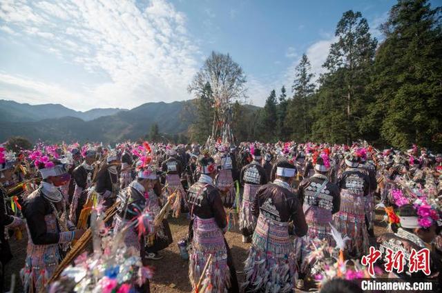 苗族芦笙踩堂舞介绍，贵州：苗寨芦笙踩堂庆佳节