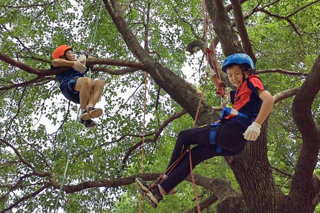 那些简单而又适合儿童运动的项目，儿童运动服装品牌（爬树、桨板、滑翔伞……“超级周末”里的亲子体育）