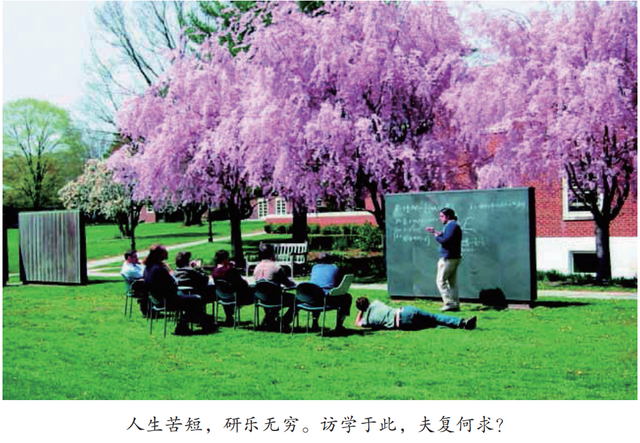 1957年属什么，1957年属鸡人一生运势（数学天地里的三山五岳）