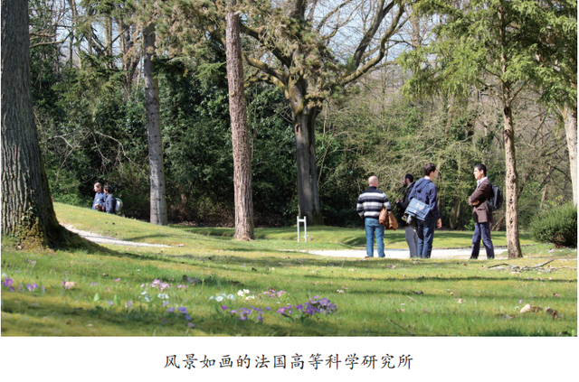 1957年属什么，1957年属鸡人一生运势（数学天地里的三山五岳）