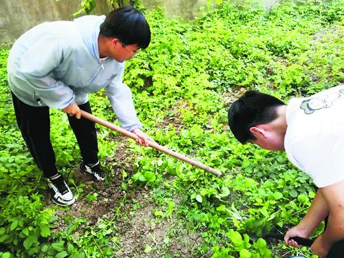 劳动能给我们带来些什么，劳动能给我们带来些什么作文（耕读并行 孕育希望）