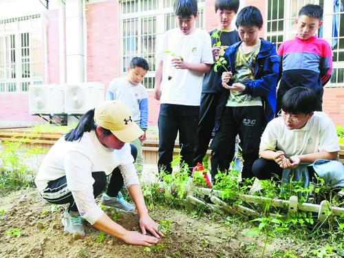 劳动能给我们带来些什么，劳动能给我们带来些什么作文（耕读并行 孕育希望）