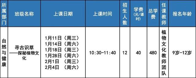 classin软件下载安装，ClassIn官方手机免费下载（北京市少年宫推出寒假短期线上课程）