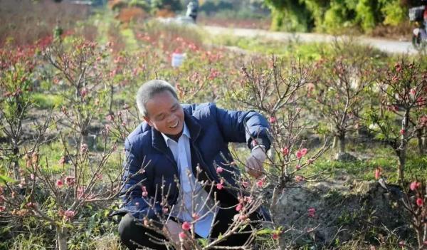 广州花卉市场主要在哪个区，广州今年有没有迎春花市