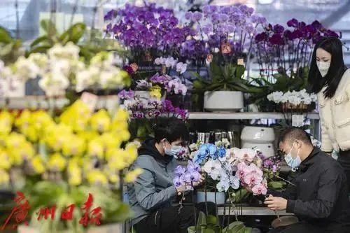 广州花卉市场主要在哪个区，广州今年有没有迎春花市