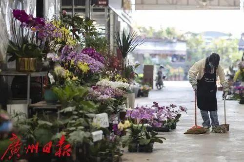 广州花卉市场主要在哪个区，广州今年有没有迎春花市