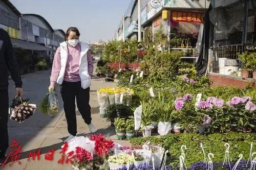 广州花卉市场主要在哪个区，广州今年有没有迎春花市