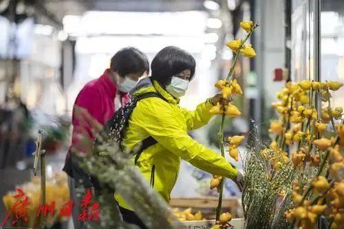 广州花卉市场主要在哪个区，广州今年有没有迎春花市