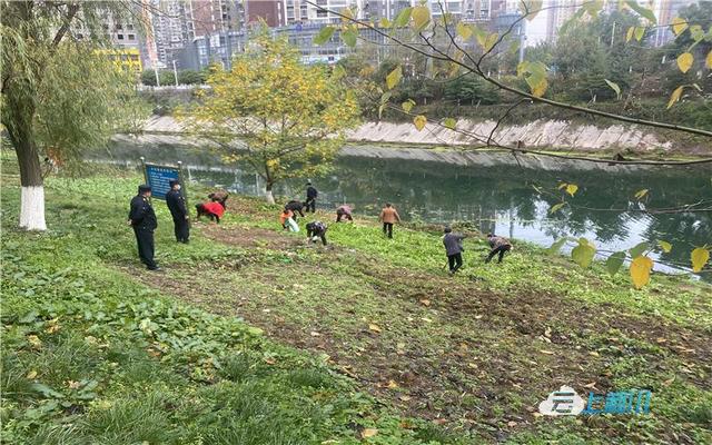 清江河保护计划，利川重拳出击开展清理整治