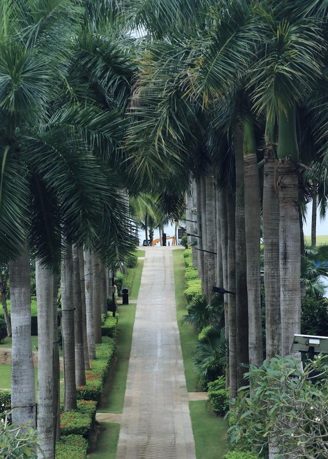 幻想小勇士攻略，幻想小勇士命运佣兵怎么获得（在三亚迎接春暖花开）