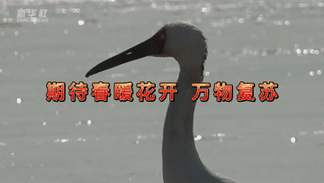 夏日传说怎么让妈妈怀孕，夏日传说1.61攻略（穿越四季的“中国故事”）