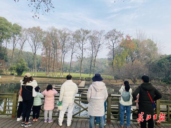 武汉海洋公园游玩记，观鸟、赏花、捕鱼、游园……元旦小长假第一天