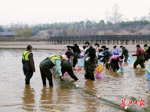 武汉海洋公园游玩记，观鸟、赏花、捕鱼、游园……元旦小长假第一天