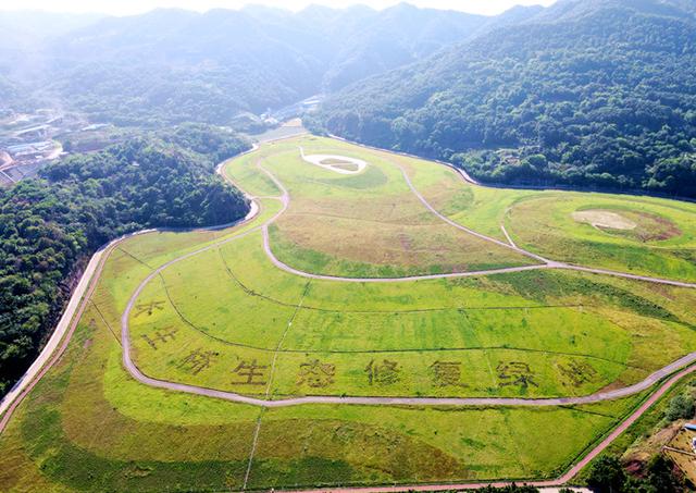 城市垃圾填埋发展现状，重庆长生桥垃圾填埋场生态修复工程全面竣工验收