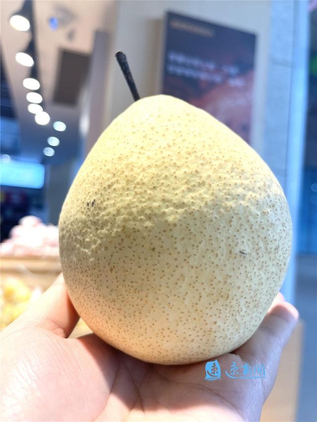 天山雪梨为什么这么好吃，老少皆宜的天山雪梨来啦