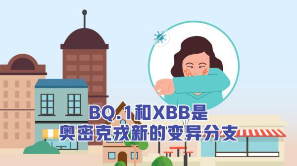 BQ.1和XBB分支，防疫动画丨关于XBB