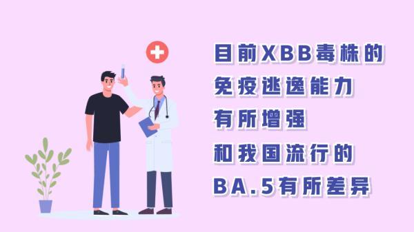 BQ.1和XBB分支，防疫动画丨关于XBB