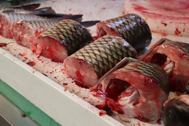 上海最受欢迎的美食，酒酿糟鸡、羌饼、爆鱼……吃着吃着爷叔“金句”频出